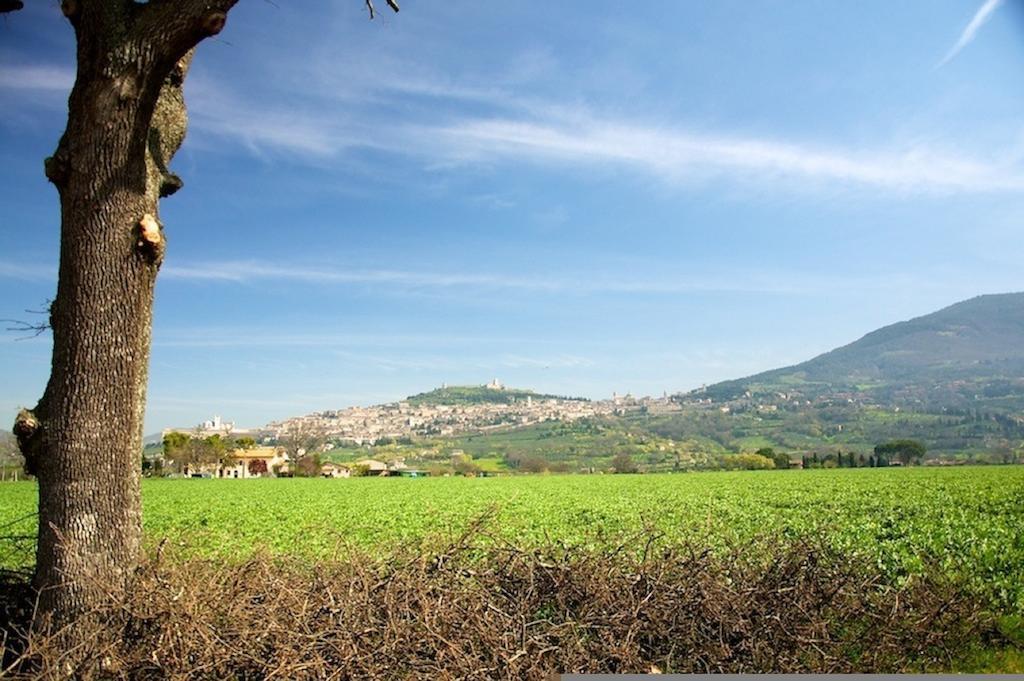 La Terra Di Francesco Villa Assisi Camera foto